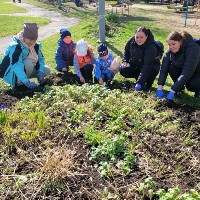 �����������